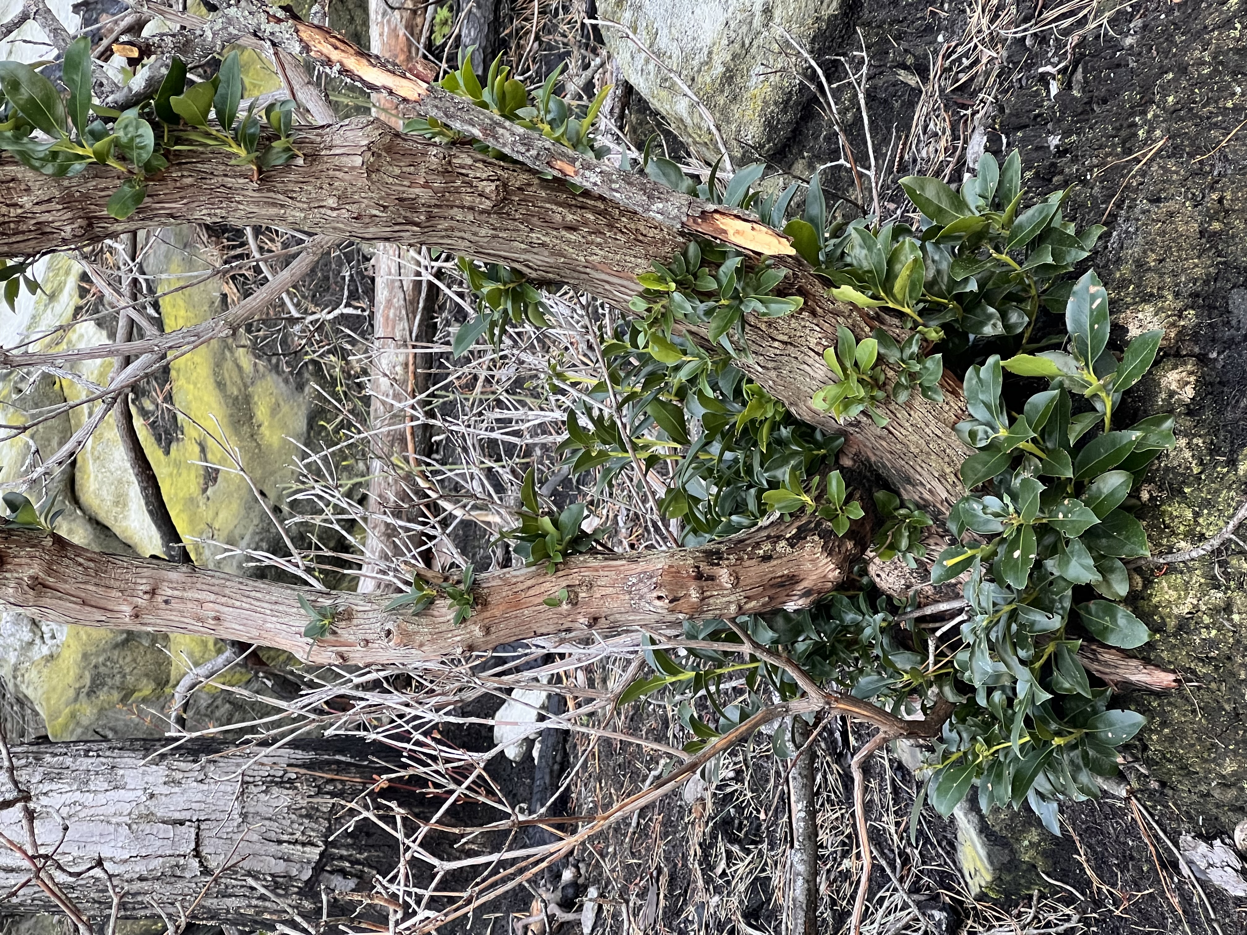 ./2023/05 - Toni Adventures/IMG_2988.JPG